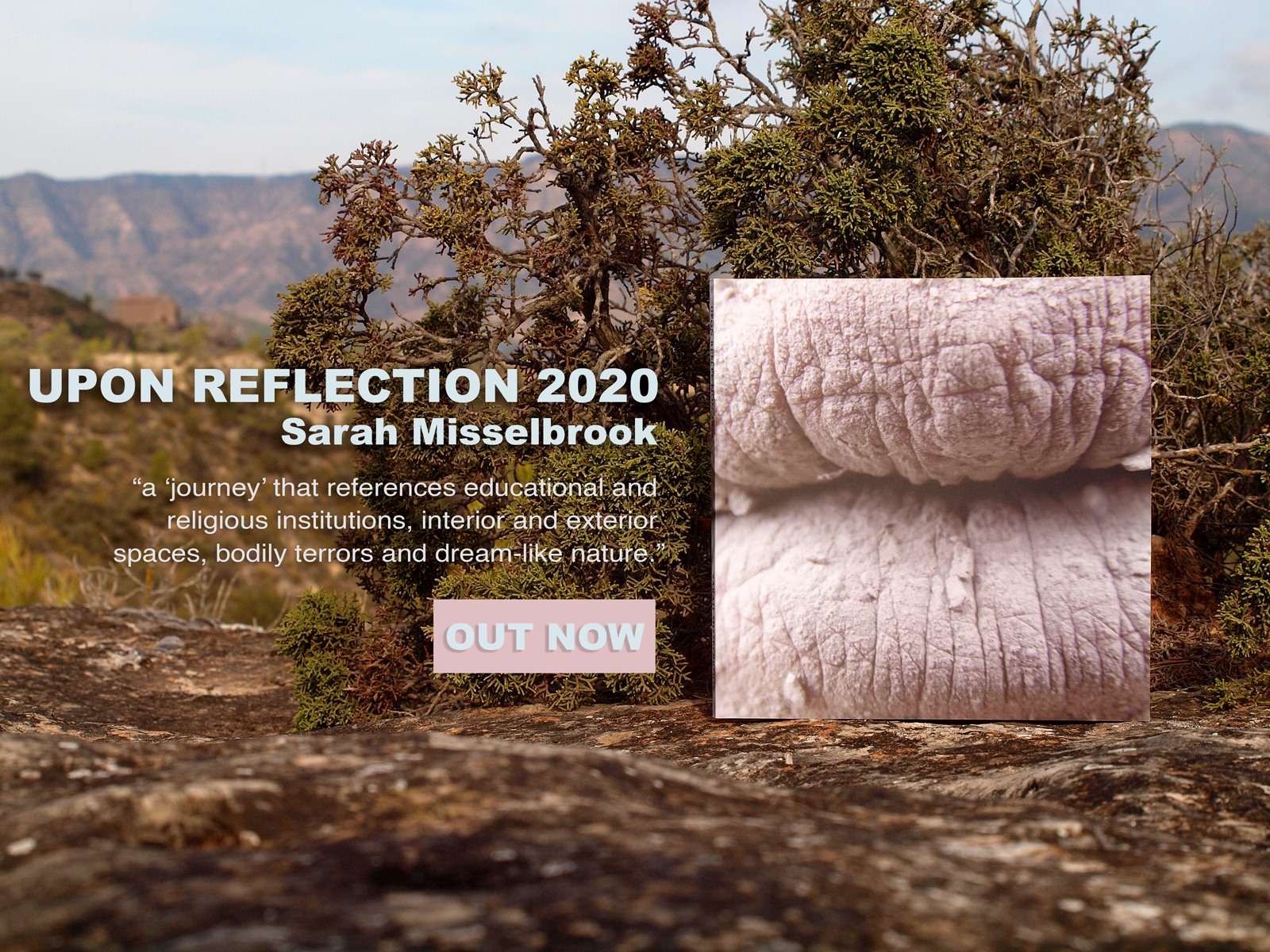 Unveiling ‘Upon Reflection 2020’