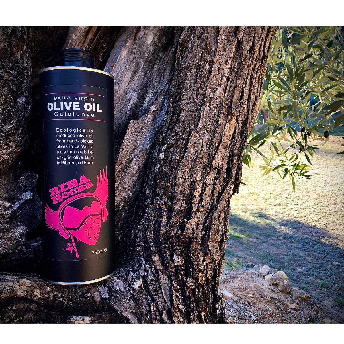 Olive Oil Label